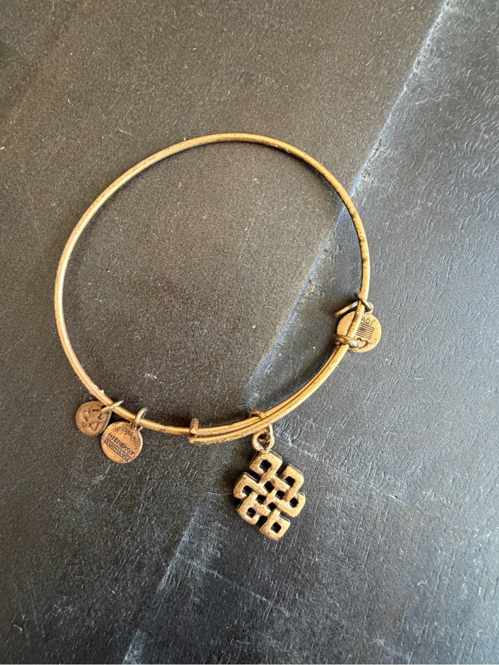 Alex and Ani Endless Knot Charm Bangle